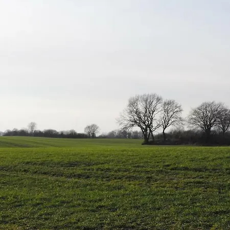 Sprengercampus
